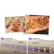 Disque Minelab GPZ 19 - 49 cm