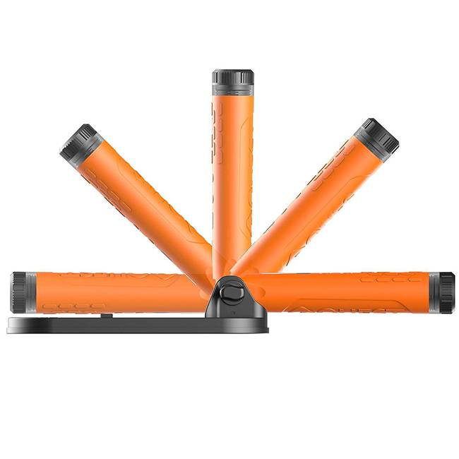 QUEST Scuba Tector Pro - Pack canne