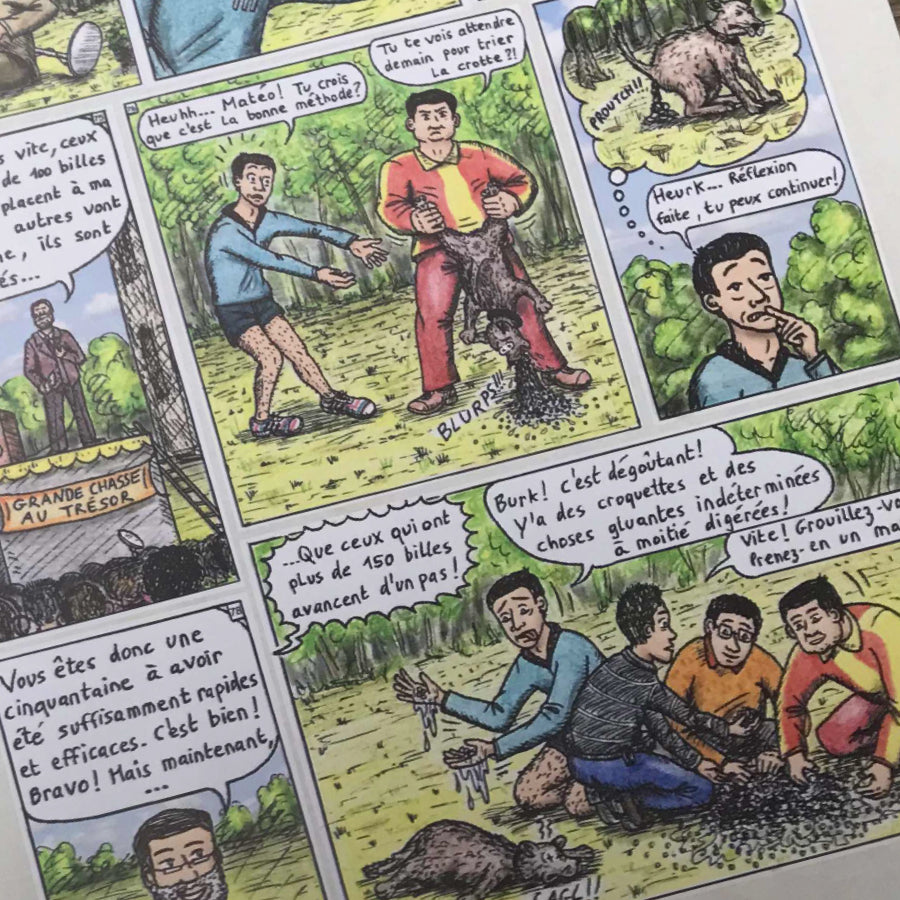 BD Le trésor de Botiville