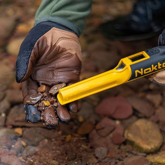 Pinpointer NOKTA - Accupoint