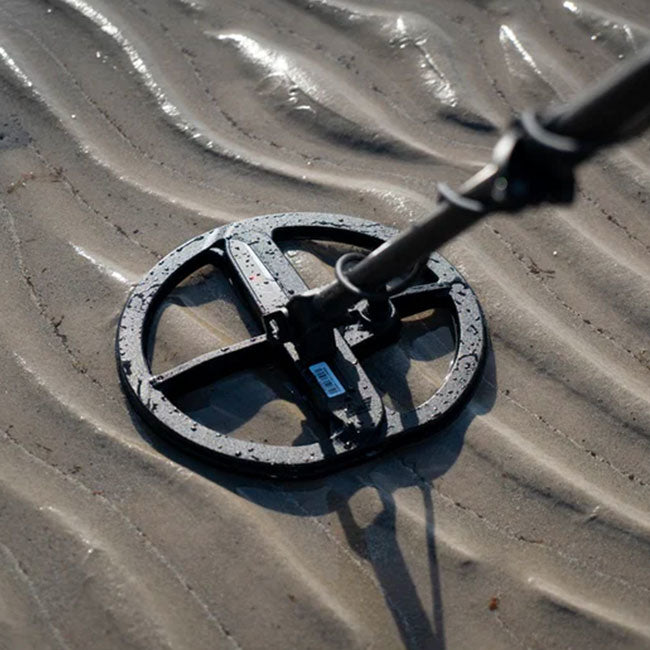 Disque Minelab Manticore - 22 cm DD