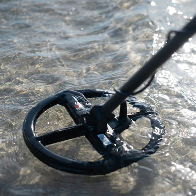 Disque Minelab Manticore - 22 cm DD