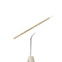 Aiguille de restauration - Pointe Ski